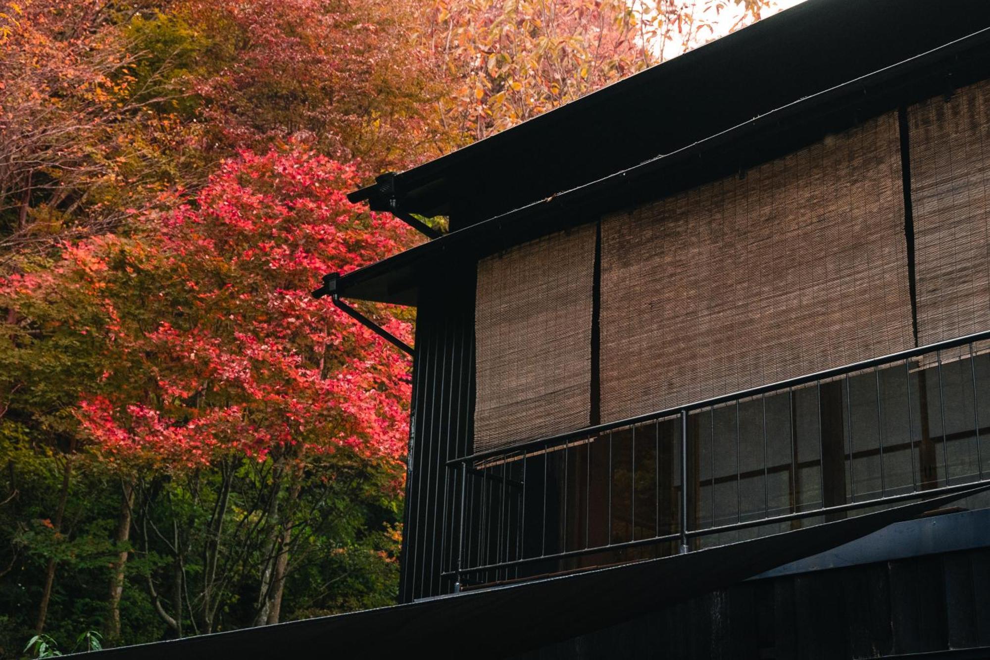 Mysa Hakone Villa Eksteriør billede