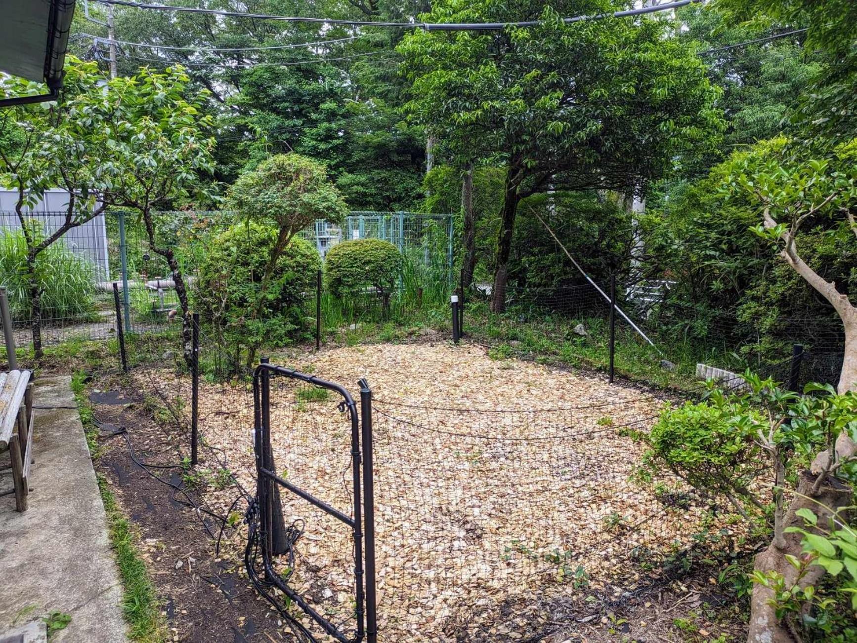 Mysa Hakone Villa Eksteriør billede